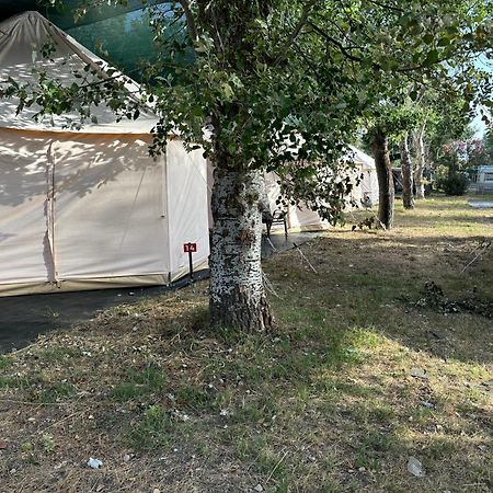 Paliouri Luxury Bungalows Экстерьер фото