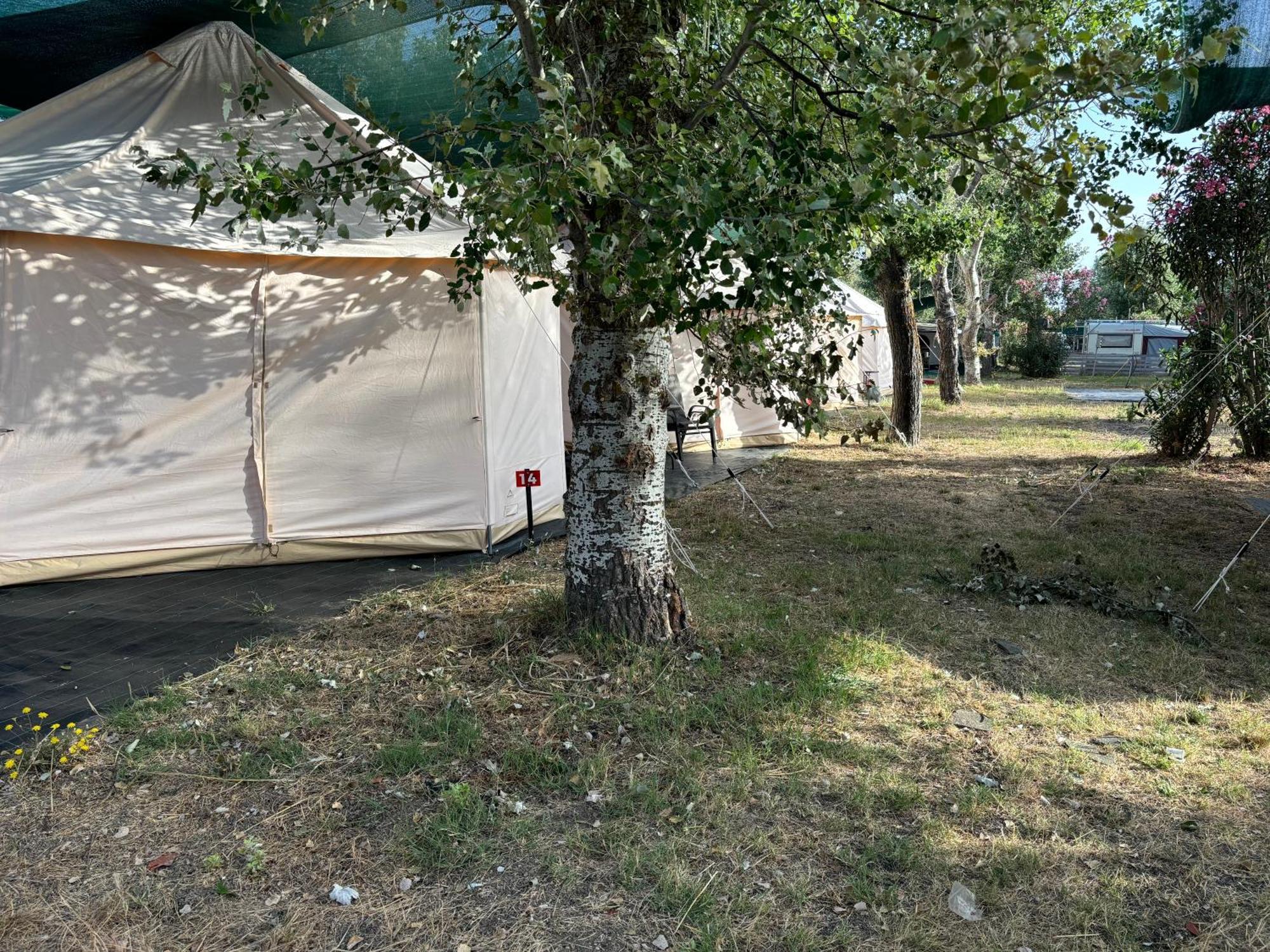 Paliouri Luxury Bungalows Экстерьер фото