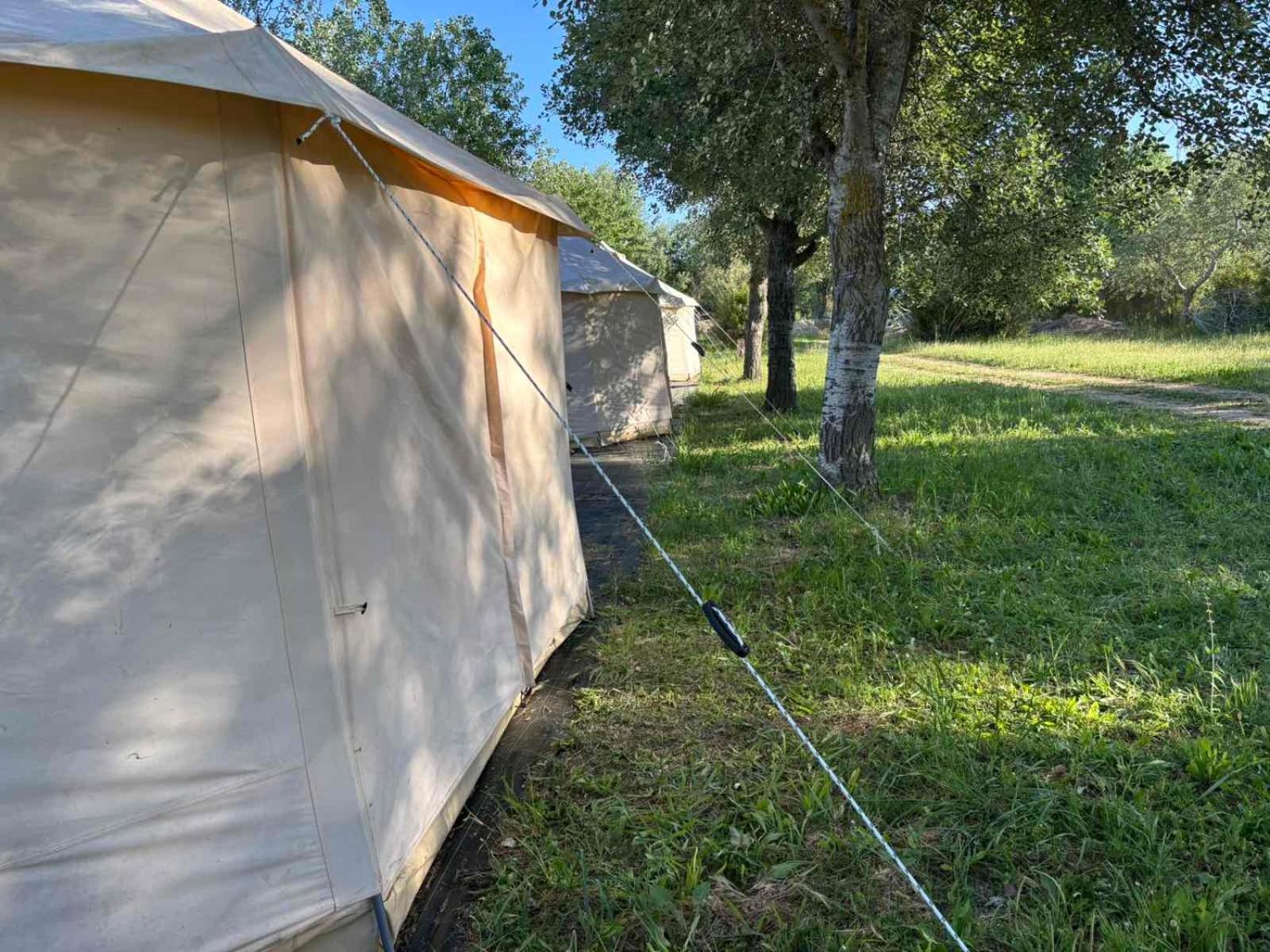 Paliouri Luxury Bungalows Экстерьер фото